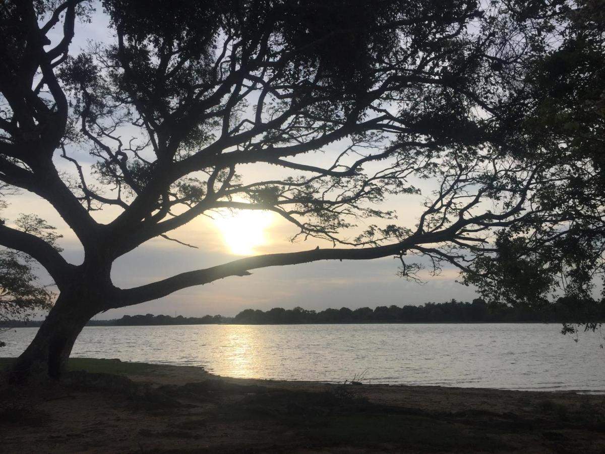 Saffron Lake Yala Tissamaharama Εξωτερικό φωτογραφία